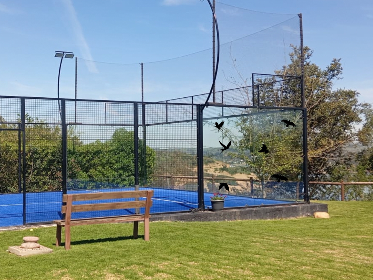Pajaritos adhesivos disuasivos para vidrios, edificios, padel